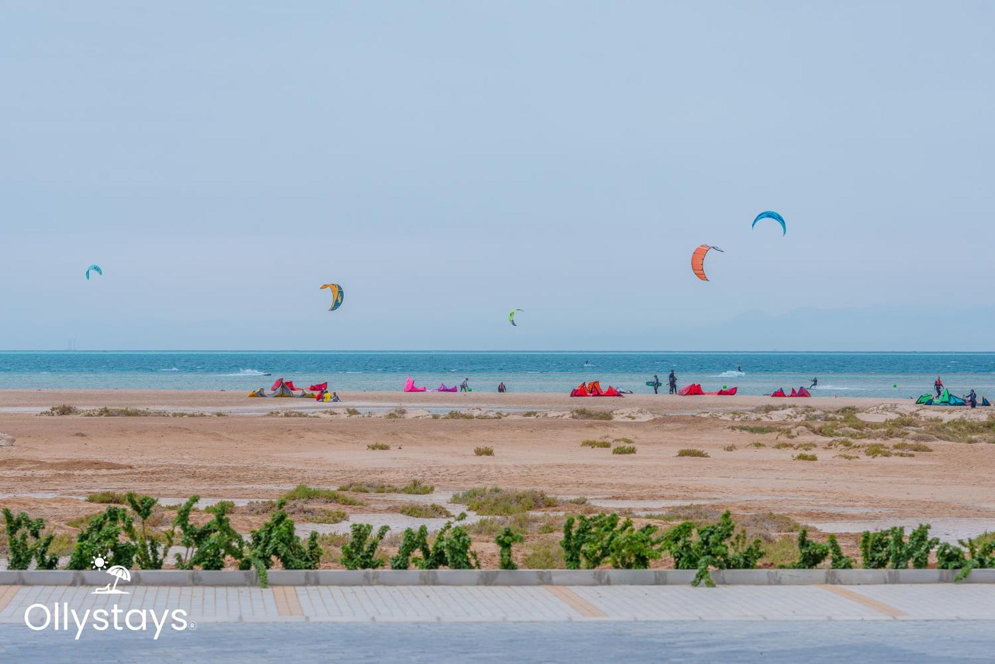 Ollystays Mangroovy Seaview 2Br Beach And Pool Free Access 洪加達 外观 照片