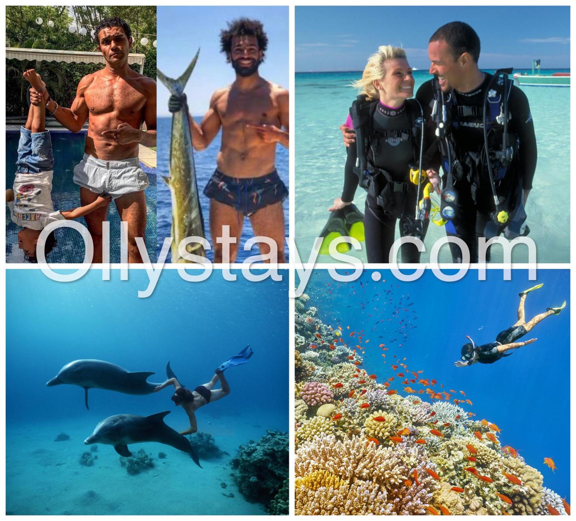 Ollystays Mangroovy Seaview 2Br Beach And Pool Free Access 洪加達 外观 照片
