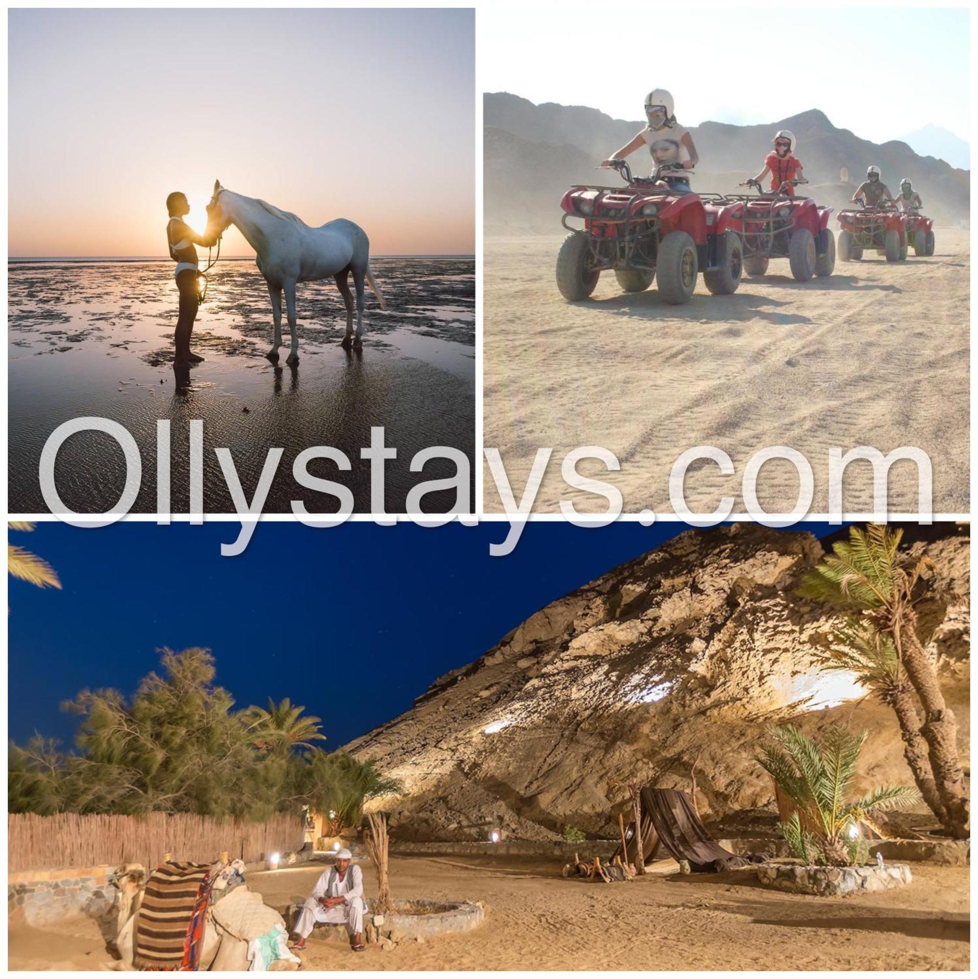 Ollystays Mangroovy Seaview 2Br Beach And Pool Free Access 洪加達 外观 照片